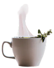 image_6500_1