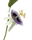 image_6500_5