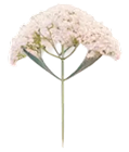 image_6500_6